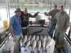 (08/04/2017) - Nice Striped Bass